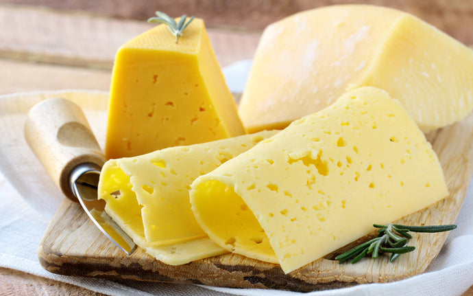 Top useful properties of cheese for the body