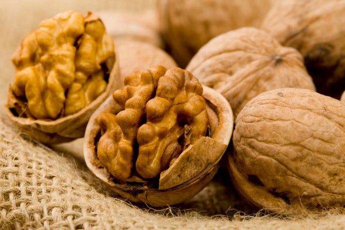 The benefits of walnuts for the nervous system of the human body